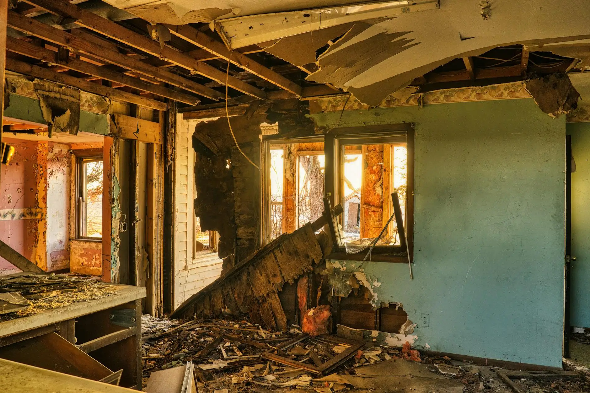 Reno's Trusted Local Mold Removal Specialists — Reno, NV